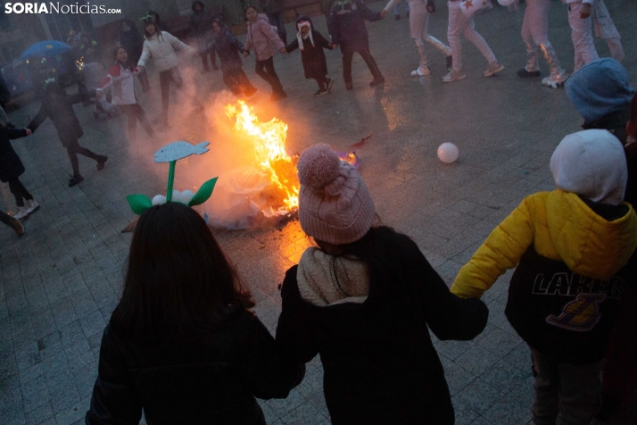 Entierro Sardina Ólvega 2025