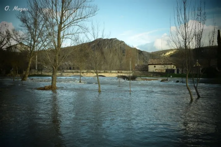 Fotos: El r&iacute;o Ucero deja estas im&aacute;genes en varios pueblos de Soria tras su crecida 