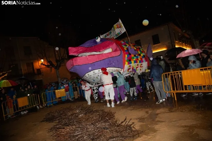 Fin de carnaval en San Esteban de Gormaz 2025