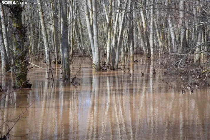 Temporal de agua en Soria 2025