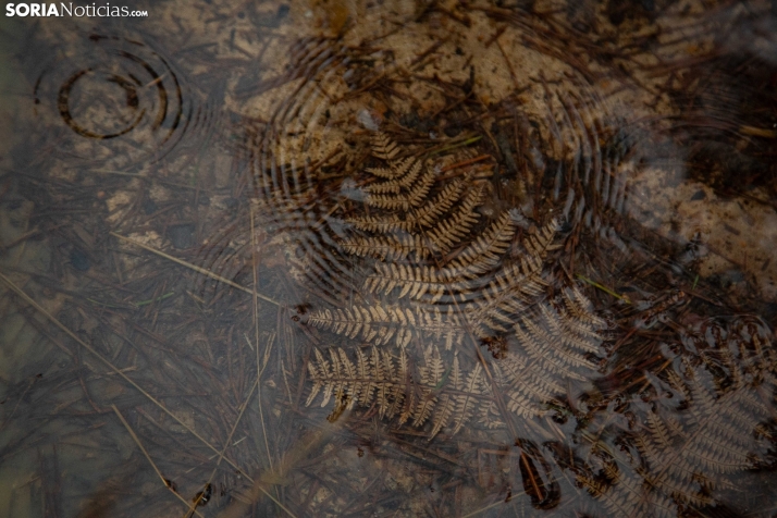 Temporal de agua en Soria 2025