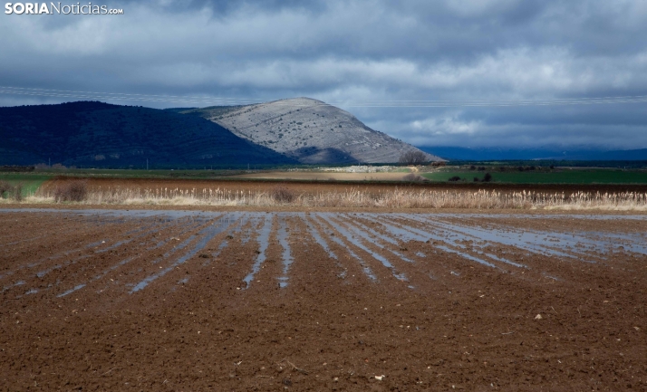 ASAJA Soria abordará con el subdelegado el preocupante estado de numerosos puntos fluviales en la provincia