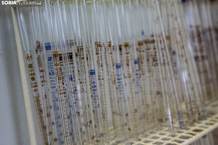 As&iacute; es, en detalle, el campus de Soria de la Universidad de Valladolid