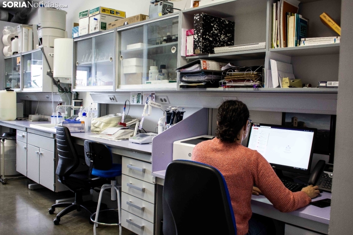As&iacute; es, en detalle, el campus de Soria de la Universidad de Valladolid
