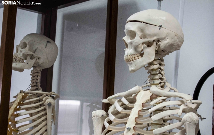 As&iacute; es, en detalle, el campus de Soria de la Universidad de Valladolid