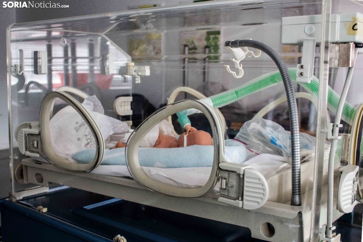 As&iacute; es, en detalle, el campus de Soria de la Universidad de Valladolid