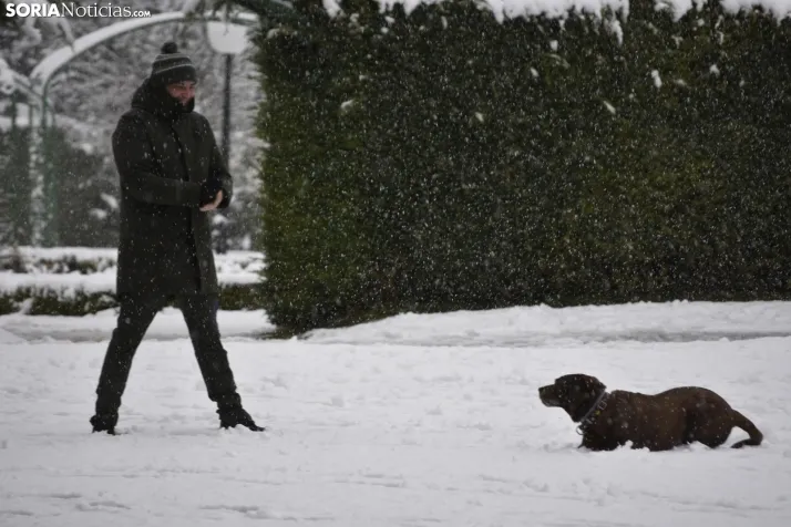 Nieve en Soria el 1 de marzo. 