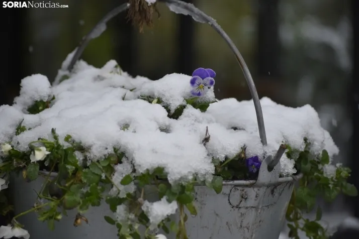 Nieve en Soria el 1 de marzo. 