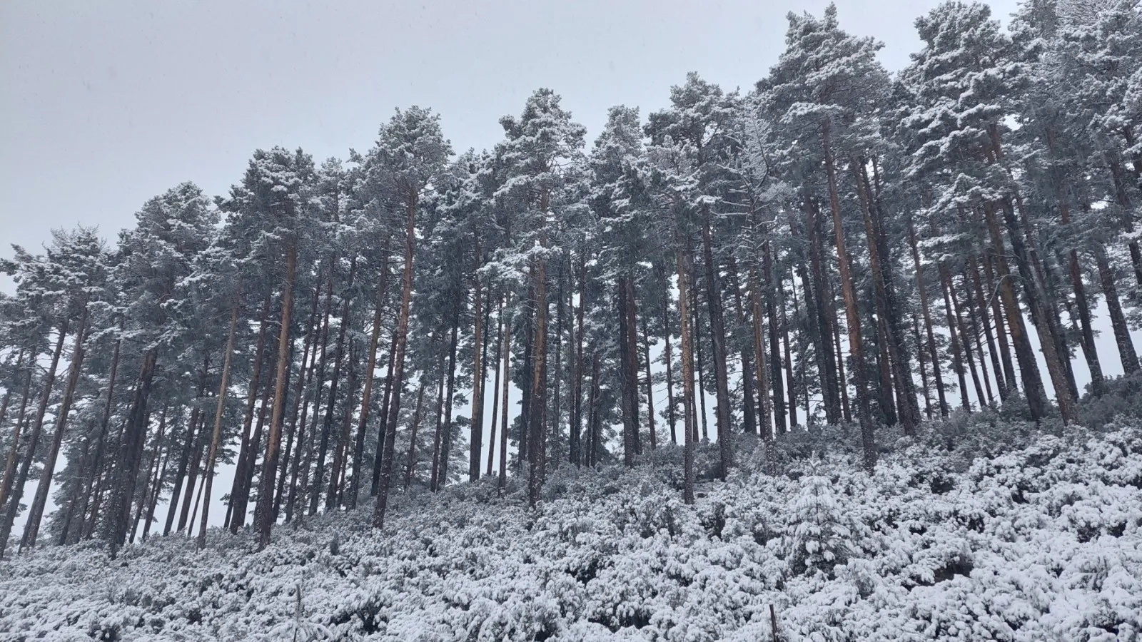 Duruelo, nevado/ Agustín Sandoval.