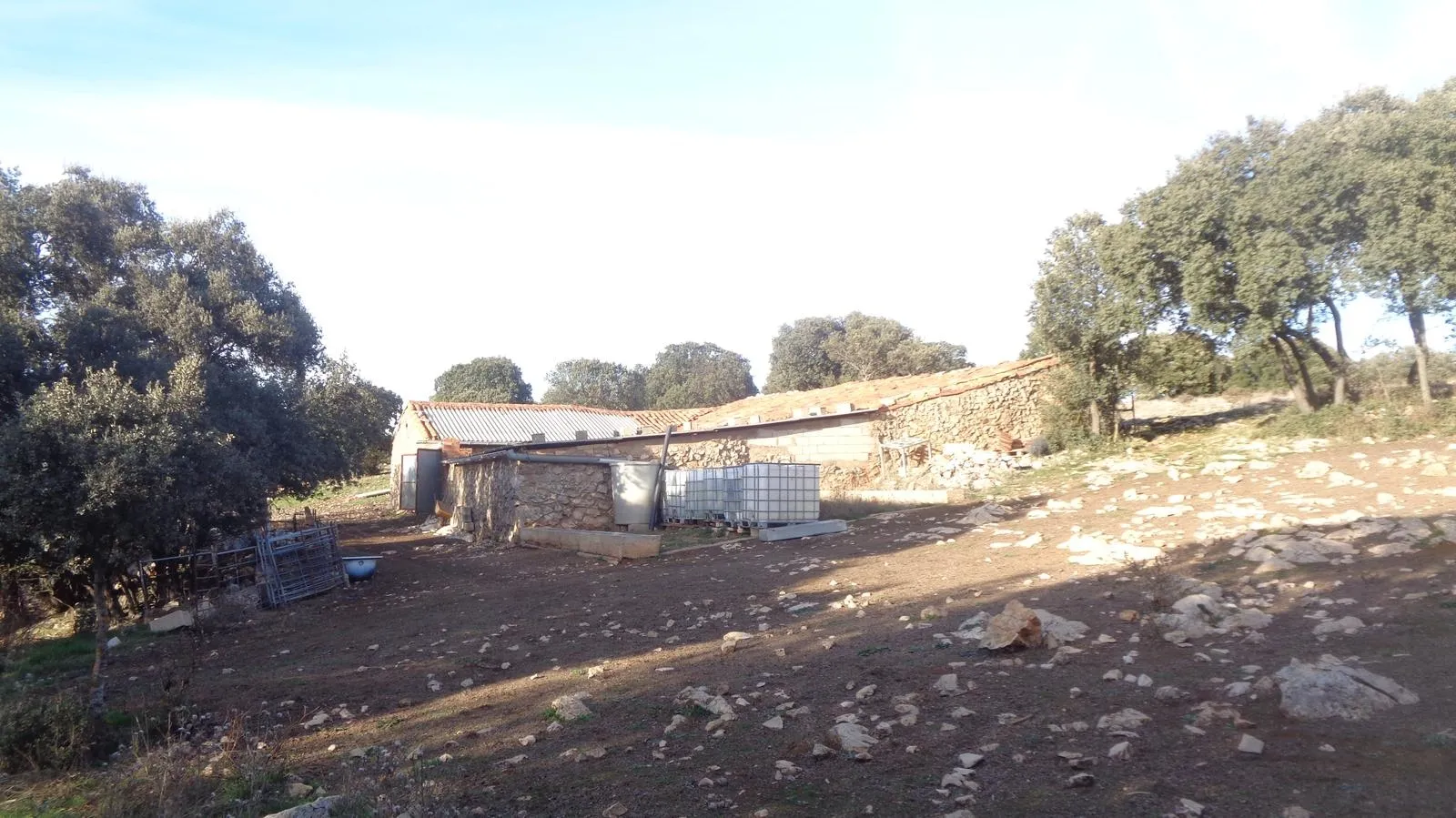 Foto 10 - Ruta: el origen del asedio a Numancia
