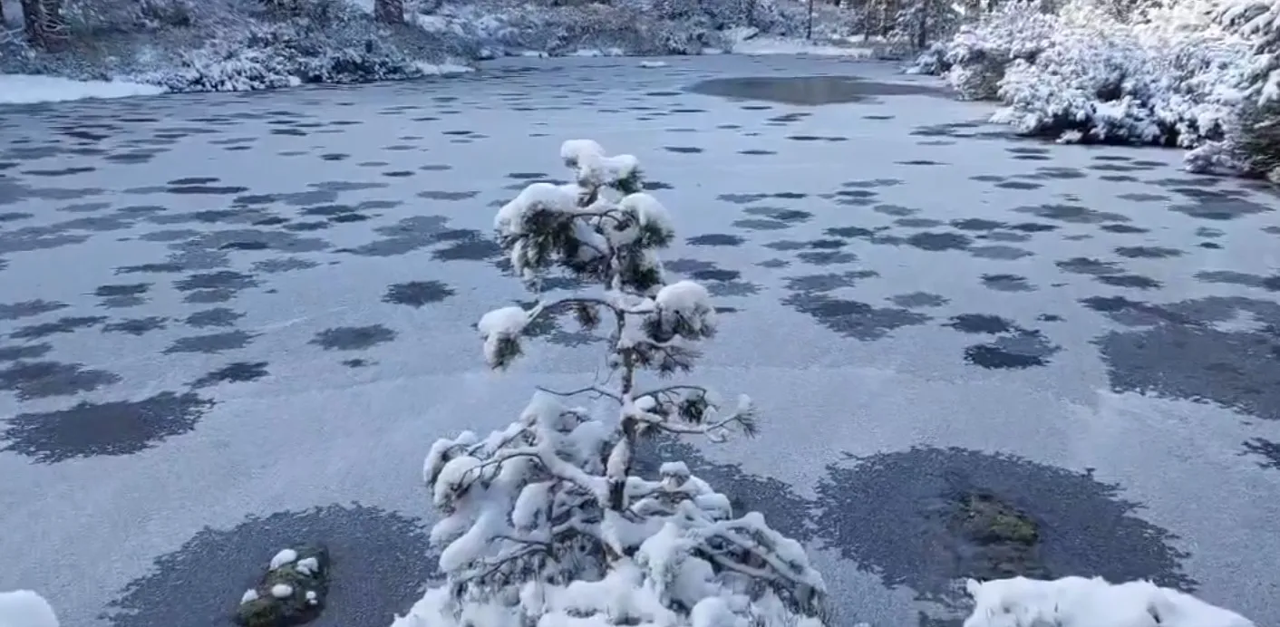 Foto 2 - Pinares se vuelve polar a mediados de abril
