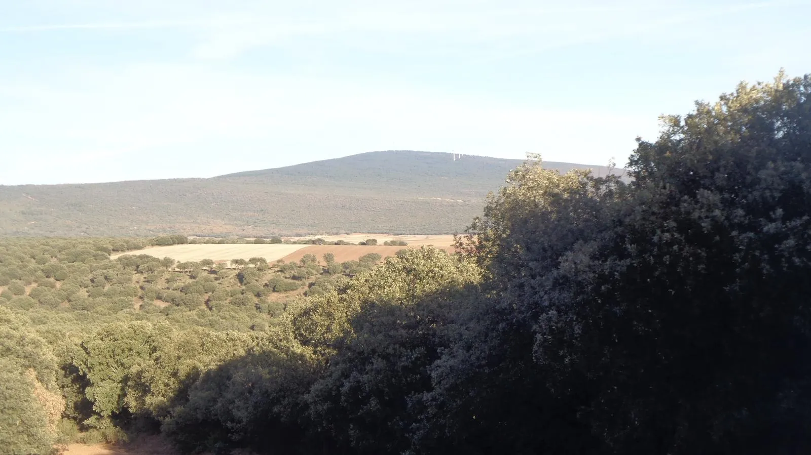 Foto 7 - Ruta: el origen del asedio a Numancia