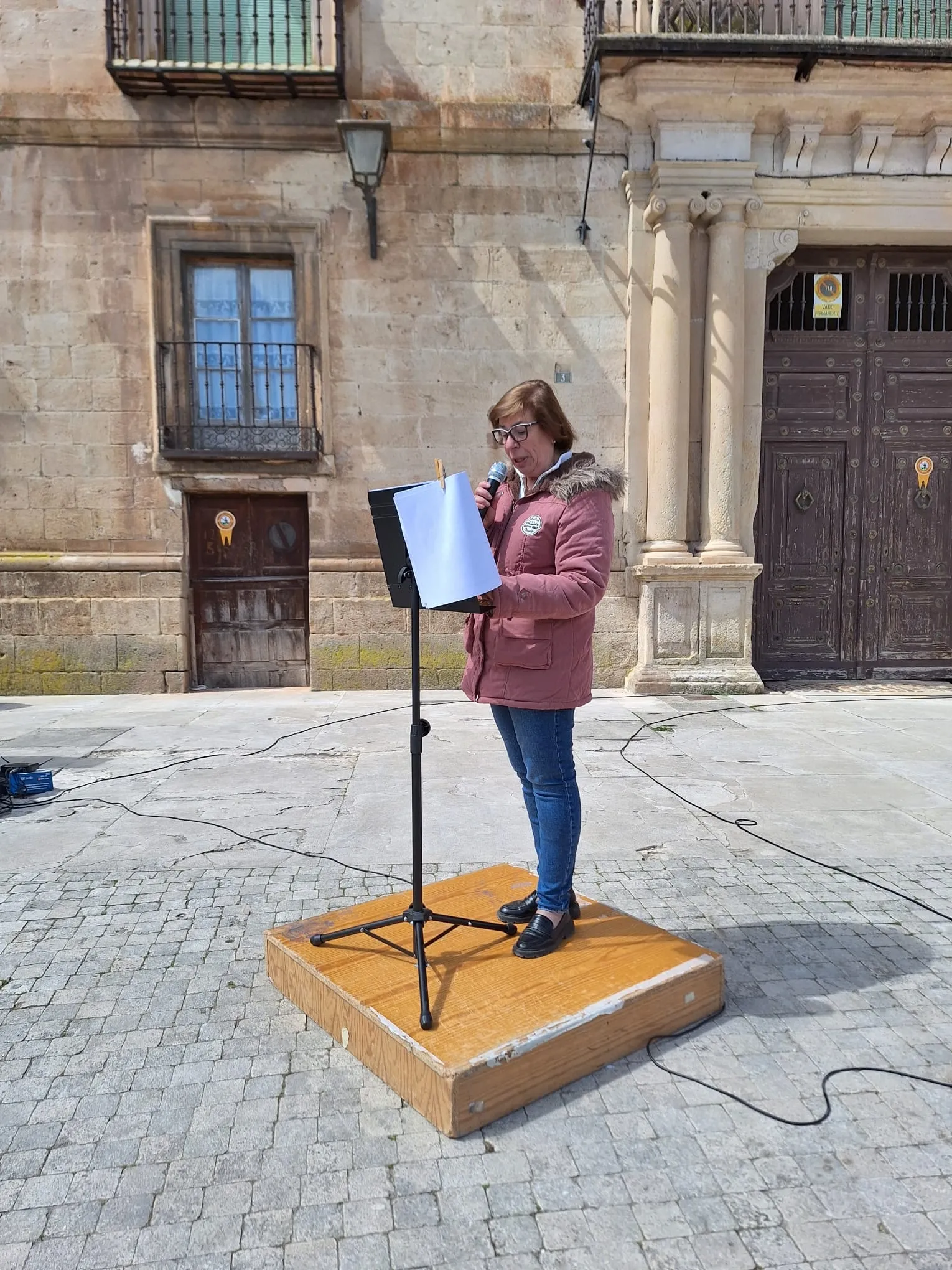 Una imagen del Día del Libro en Almazán. 