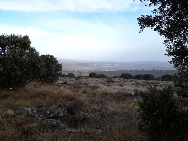 Foto 2 - Ruta: el origen del asedio a Numancia