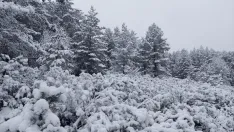 Duruelo, nevado/ Agustín Sandoval.