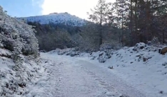 Foto 5 - Pinares se vuelve polar a mediados de abril