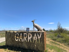 Foto 4 - La Diputación celebra el Día del Libro con una nueva 'suelta de ejemplares' por la provincia