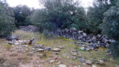 Foto 5 - Ruta: el origen del asedio a Numancia