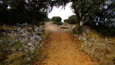 Foto 4 - Ruta: el origen del asedio a Numancia