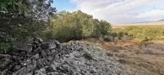 Foto 3 - Ruta: el origen del asedio a Numancia