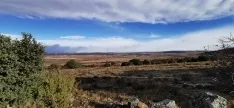 Foto 12 - Ruta: el origen del asedio a Numancia