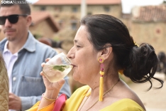 Feria flamenca de primavera en Renieblas.