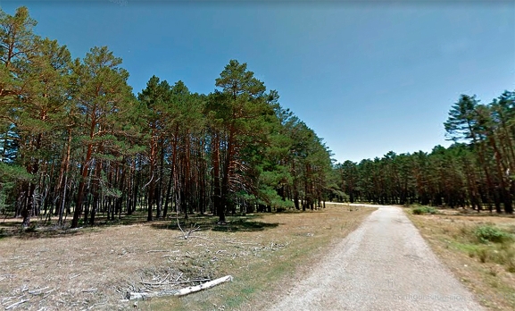 Adjudicada, en 71.000 € la reparación de una pista forestal en Pinar Grande