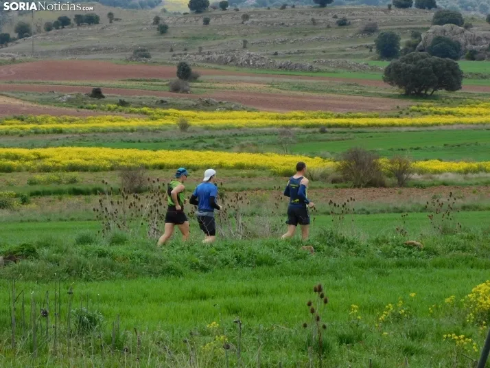 VII Subida al Palillo 