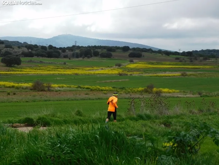 VII Subida al Palillo 