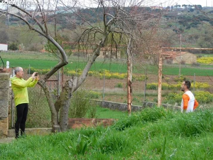 VII Subida al Palillo 