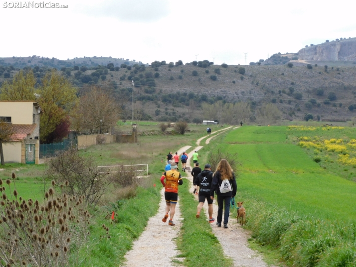 VII Subida al Palillo 