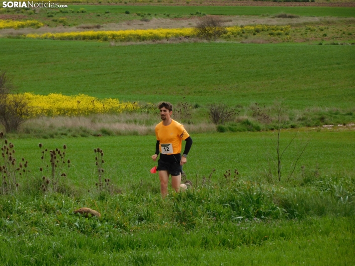 VII Subida al Palillo 