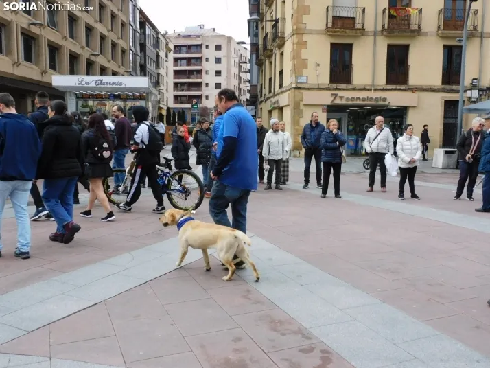 Marcha Solidaria por el autismo 2025