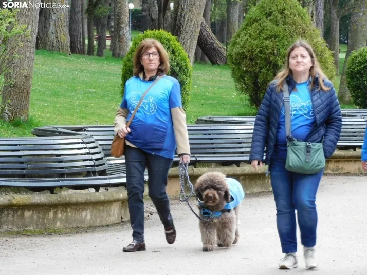 Marcha Solidaria por el autismo 2025