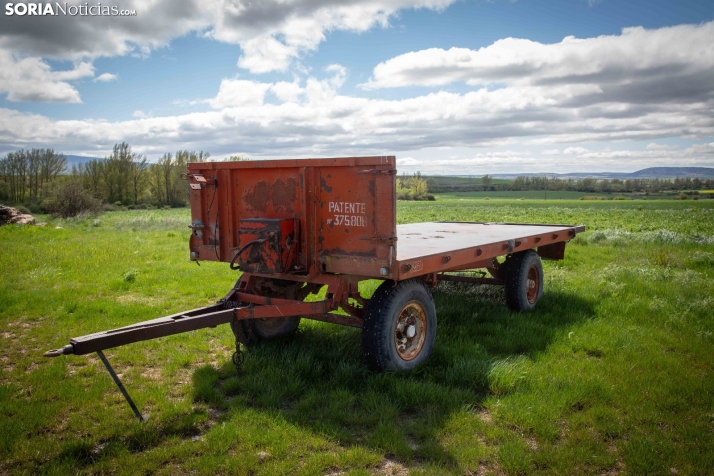 Explosión primaveral