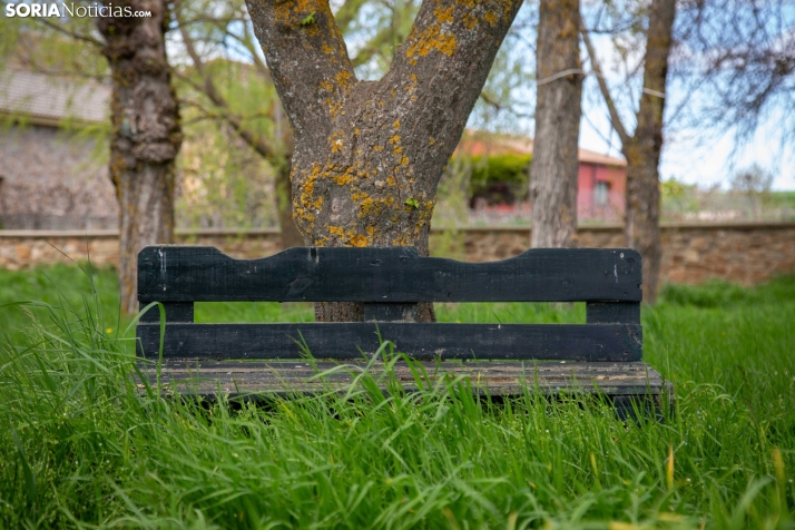 Explosión primaveral