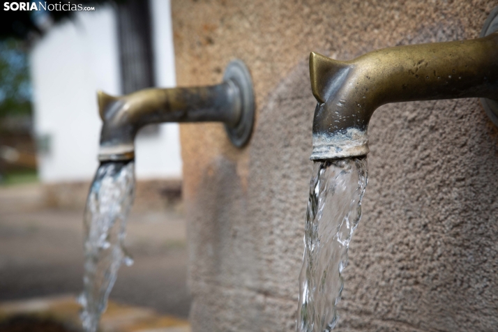 Explosión primaveral