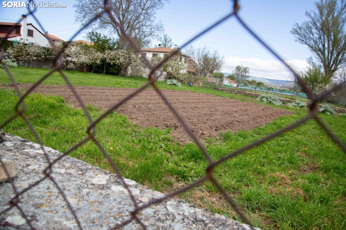 Explosión primaveral