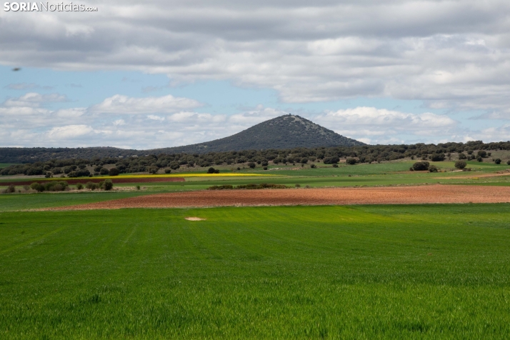 Explosión primaveral