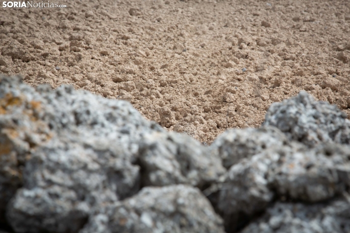 Explosión primaveral