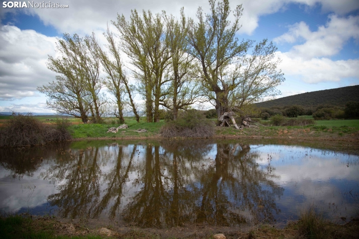 Explosión primaveral