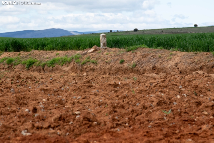 Explosión primaveral