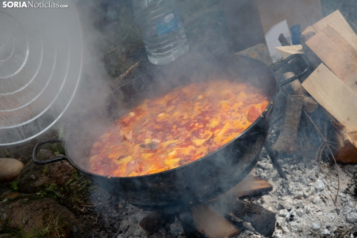 San Marcos en Ólvega 2025