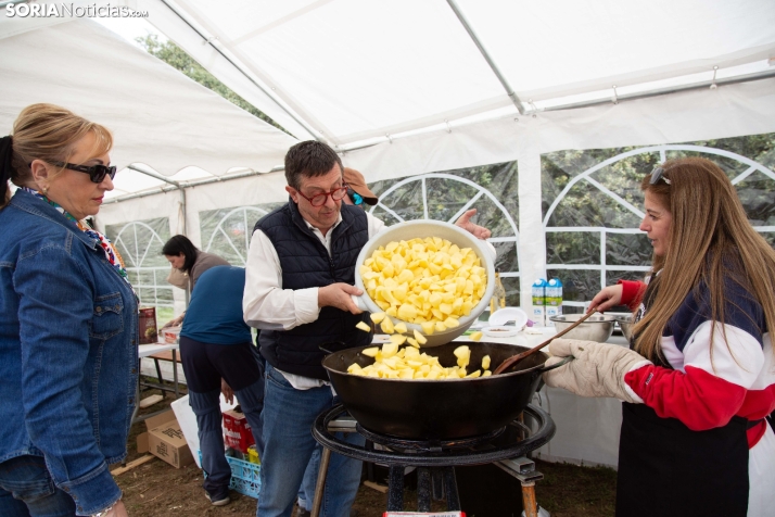 San Marcos en Ólvega 2025