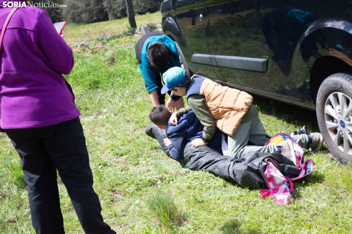 San Marcos en Ólvega 2025