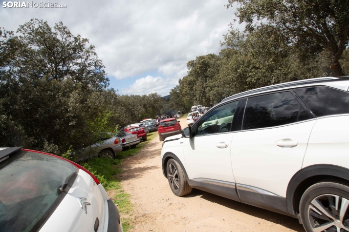 San Marcos en Ólvega 2025