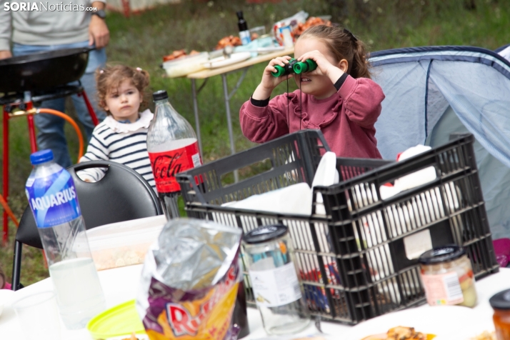 San Marcos en Ólvega 2025