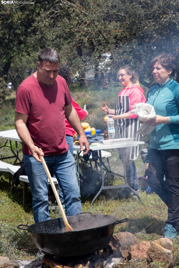 San Marcos en Ólvega 2025