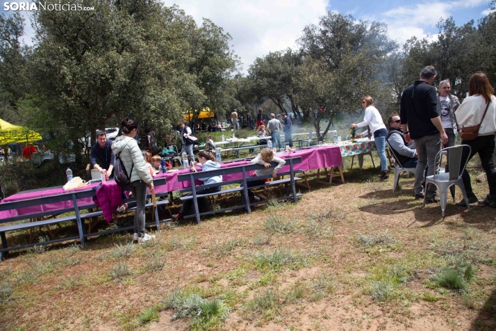 San Marcos en Ólvega 2025