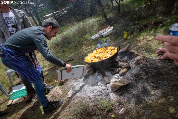 San Marcos en Ólvega 2025